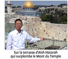 From the roof of Aish HaTorah: overlooking the Temple Mount